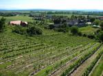 Pohled na vinařskou obec Engelmannsbrunn z viniční tratě Wagram / Engelmannsbrunn, Wagram (Rakousko)