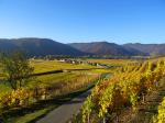 01: Pohled na Oberloiben z viniční trati Loibenberg / Unterloiben, Wachau (Rakousko)