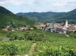 Pohled na Spitz od viniční trati Steinborz / Wachau (Rakousko).