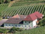 Vinařství Weingut Friedrich Rixinger v obci Gut am Steg / Wachau (Rakousko).