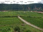 Pohled na viniční tratě Hinters Kirchl, Trum, Schütt, Sätzen, Bockfüßl a Frauenweingarten z viniční trati Loibenberg / Unterloiben, Wachau (Rakousko)