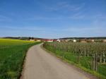 03: Pohled na vinařskou obec Theyern, na pozadí za obcí viniční trať Theyerner Berg / Theyern, Traisental (Rakousko)