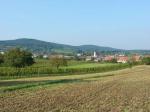 Pohled na vinařskou obec St. Georgen am Leithagebirge / Eisenstadt, Neusiedlersee-Hügelland (Rakousko).