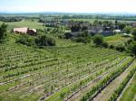06: Pohled na vinařskou obec Engelmannsbrunn z viniční trati Wagram / Engelmannsbrunn, Wagram (Rakousko)