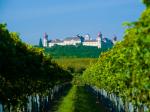 Pohled z viniční trati Rosengarten na klášter Stift Göttweig / Oberfucha, Kremstal (Rakousko). Autor: Winzerhof Fam. Dockner