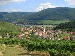 Pohled od viniční trati Steinborz na městečko Spitz / Spitz, Wachau (Rakousko)