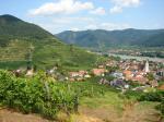 09: Pohled na vinařskou obec Spitz od viniční tratě Steinborz / Spitz, Wachau (Rakousko)