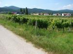 Vinařská obec Sooß / Sooß, Thermenregion (Rakousko)