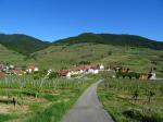 18: Viniční trať Hartberg (na pozadí) od viniční trati Burgberg / Spitz, Wachau (Rakousko)