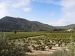 Obr. 20. Vinice patřící k vinařství Domaine des Aspras v obci Correns.