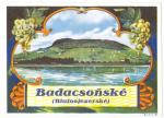 2. Badacsoňské (Blatnojezerské). Jednoduchá hádanka - jde o Blatenské jezero, tedy Balaton v západním Maďarsku. Severní region od Balatonu (a jedno z jeho měst) se jmenuje právě „Badačoň". Pěstuje se zde téměř výhradně bílé víno. Zajímavý je na etike