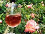 Zweigeltrebe a čajová růže.