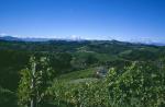 Vinice ve vinařské podoblasti Steiermark