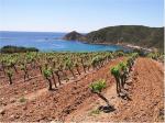 Fotografie, kterou nám zaslal Vladimír Opletal je pořízena ve vinařské oblasti Provence, záliv u Saint-Tropez. Tuto fotografii se spoustou dalších také naleznete v sekci Bonusy! 