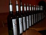 Řada degustovaných vín hezky od začátku tj. nultého vzorku Ryzlinku vlašského 2007 kabinet.