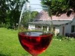 Barva vína Cuvée st. Margarita 2006 zemské (rosé) - Vinné sklepy Maršovice v.o.s., pořizovaná přímo během mlsání na zahradě.