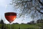 Barva vína Baron de Senac (rosé) vino de mesa (stolní) - Capel Vinos Murcia, Španělsko.