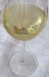 Barva vína Chardonnay 2004 odrůdové jakostní - Vinné sklepy Rakvice s.r.o. Ravis