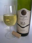 Sauvignon 2005 výběr z hroznů - Vinařství Židek Rudolf, Popice