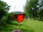Barva vína Cuvée st. Margarita 2006 zemské (rosé) - Vinné sklepy Maršovice v.o.s., pořizovaná přímo během mlsání na zahradě.