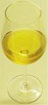 Pohled na výraznou zlato žlutou barvu vína ve sklenici.