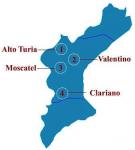 Čtyři subzóny vinařské podoblasti Valencia (Alto Túria, Clariano, Valentino a Moscatel). 