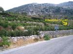 Příjezdová cesta k městečku Agios illias s vinicema.