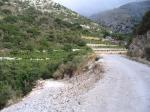 Vinice pod horama v okolí Agios illias
