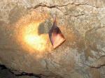 Detailní fotografie netopýra z jeskyně Šipka