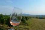 Ochutnávání vín na Růžové hoře