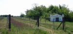 Projekt Vinoenvi - ekologické zemědělství a biodiverzita (zde vysázení bylin ve vinici).