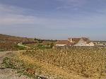 01. Grand Echezeaux-pohled přes něj na Clos de Vougeot, v pozadí vlevo Musigny.jpg