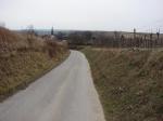 Cesta mezi vinicemi směrem k obci Jedenspeigen.