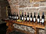 Celkový pohled na degustovanou kolekci vín.