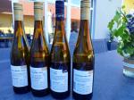 03: Vína vinařství Weingut Eder během degustace / Jettsdorf, Wagram (Rakousko)