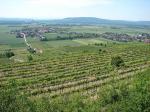 Vinařská obec Brunn im Felde (vlevo) od rozhledny Gobelsburger Warte / Hadersdorf am Kamp, Kamptal (Rakousko).