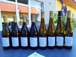 04: Vína vinařství Weingut Eder během degustace / Jettsdorf, Wagram (Rakousko)