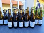 05: Vína vinařství Weingut Eder během degustace / Jettsdorf, Wagram (Rakousko)