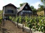 Typické vinohradnické stavby z 2. poloviny minulého století 10 - Vinohrádek ve Vinohrádkách.