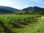 06: Viniční trať Mitterbirg, na pozadí vinařská obec Spitz / Oberarnsdorf, Wachau (Rakousko)