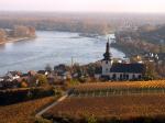 Obec Nierstein ve vinařské oblasti Rheinhessen (Rýnské Hesensko). Pohled z Červeného svahu („Roter Hang“) na řeku Rýn (zdroj: http://de.wikipedia.org).