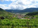 14: Pohled z viniční trati Steinporz na pozadí vinařskou obec Spitz / Spitz, Wachau (Rakousko)