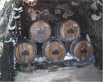 Dubové sudy v archivním sklepě s likérovým vínem Šaler (24. srpna 2004).