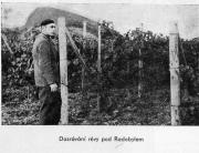 Obrázek z roku 1969 - Radobýl a Antonín Hrabkovský, tehdejší  vedoucí vinařství Státního statku Litoměřice